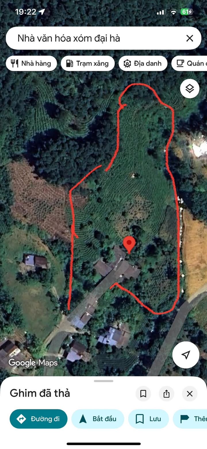 Đất nông nghiệp 10.000m² xã Phú Lạc, Đại Từ - Giá chỉ 2 tỷ, đầu tư sinh lời!