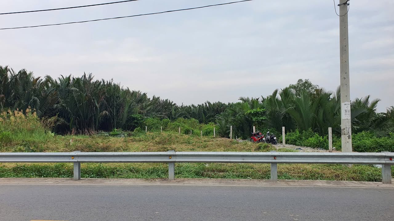 Đất Nguyễn Bình 2000m² giá 19 tỷ - Đầu tư sinh lời tiềm năng!