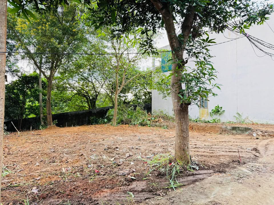 Đất thổ cư 120m² ở Quyết Thắng, Thái Nguyên - Tiềm năng tăng giá cao!