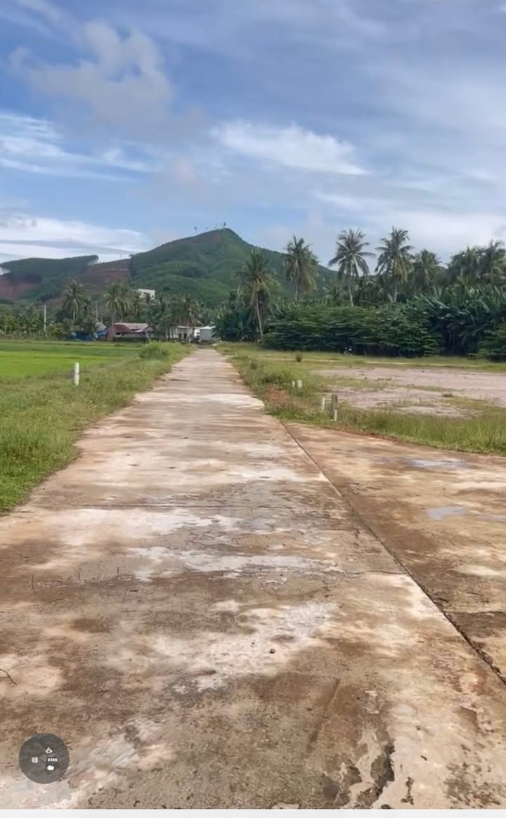 Đất nền Vĩnh Phụng 2 Hoài Xuân 150m² giá 500 triệu - Sổ hồng chính chủ!