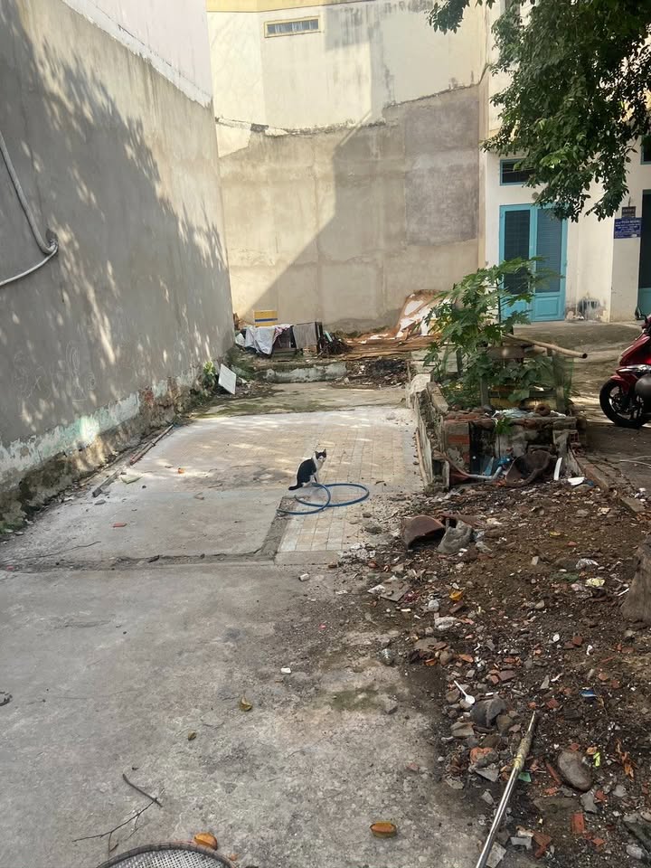 Bán đất 80/11 đường Nguyễn Văn Trỗi, P8, Q.Phú Nhuận 64.9m² - Giá chỉ 6.5 tỷ, pháp lý hoàn thiện!