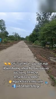 Đất mặt tiền đường nhựa Ấp Bầu Dầu, Dầu Tiếng, 1909m² - Giá thỏa thuận hấp dẫn!