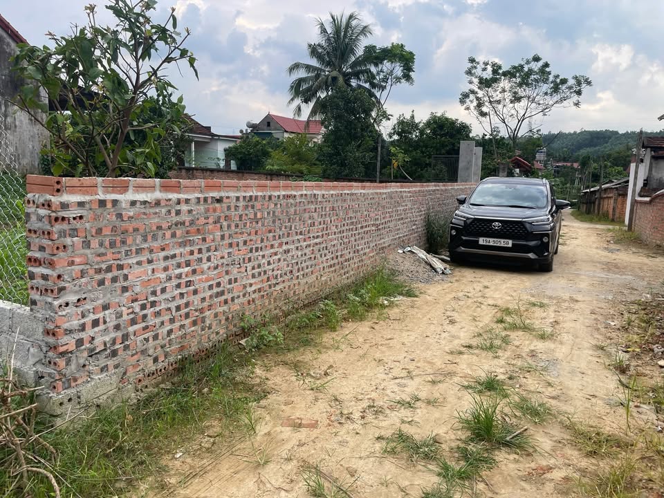 Đất thổ cư Thanh Sơn, Phú Thọ 165m² - Cơ hội đầu tư tuyệt vời!