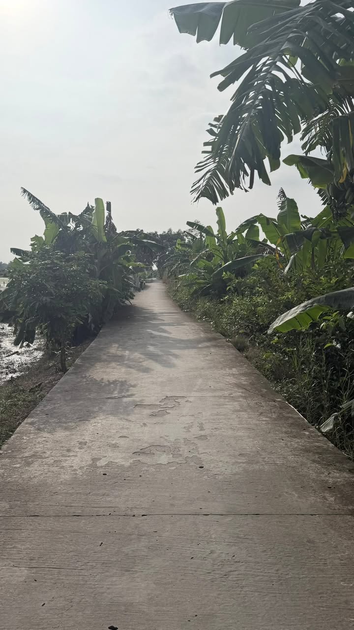 Đất nền xã Tân Bình, Cai Lậy 70.000m² giá 2.59 tỷ - Cơ hội đầu tư tuyệt vời!