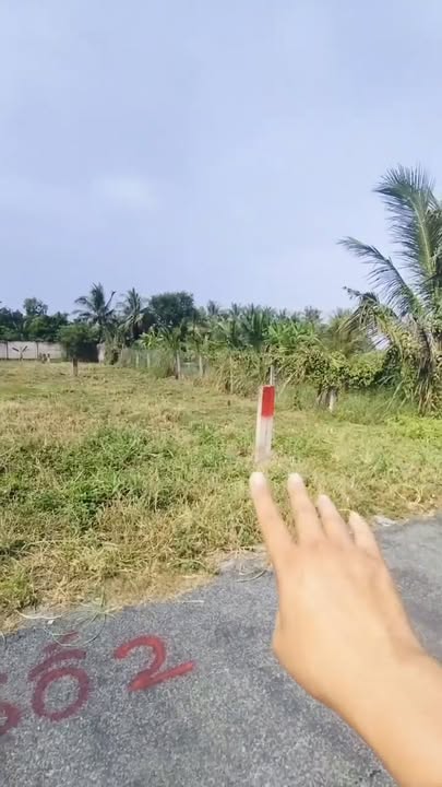 Đất mặt tiền đường Đội 9, Bình Nhì 201m² giá 250 triệu - Sổ hồng chính chủ