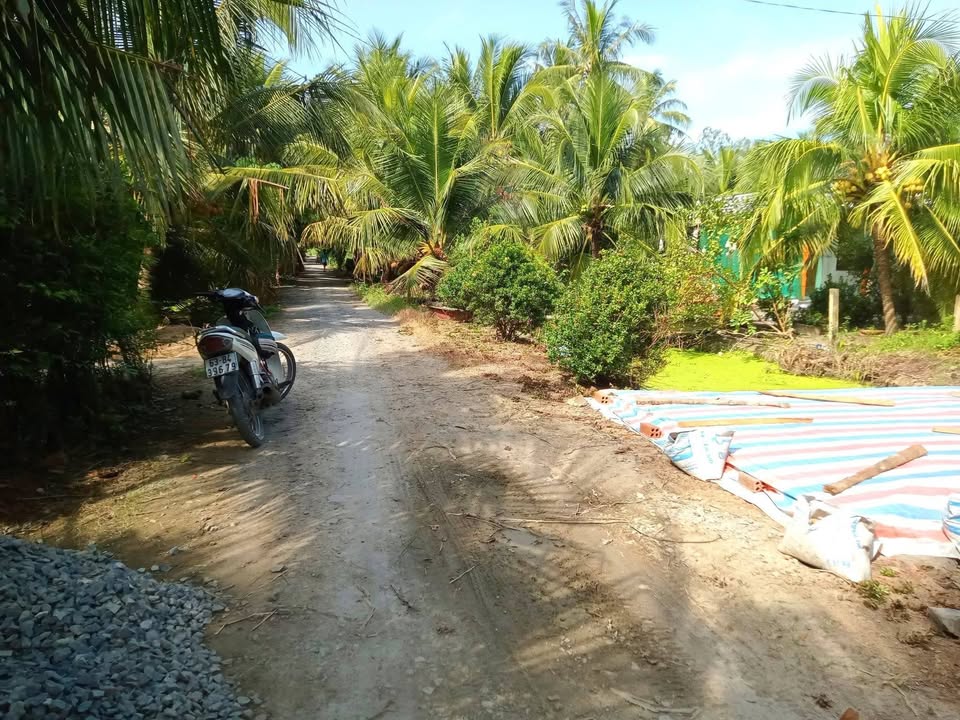 Đất vườn An Phú Chợ Gạo 3200m² giá 599 triệu - Cơ hội đầu tư tuyệt vời!