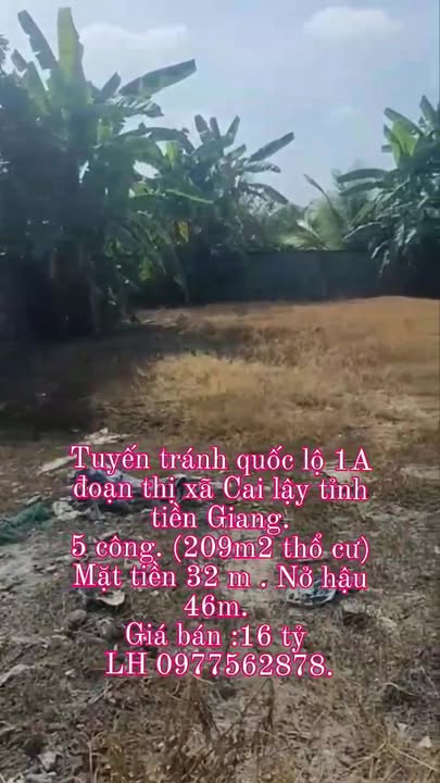 Đất mặt tiền Quốc lộ 1A, phường Cai Lậy mới, 5000m² - Giá chỉ 16 tỷ!