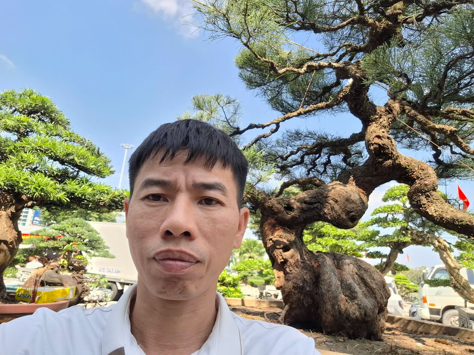 Đất nền 1000m² xã Vĩnh Đồng, Kim Bôi - Giá chỉ 3 triệu/m², cơ hội đầu tư tuyệt vời!