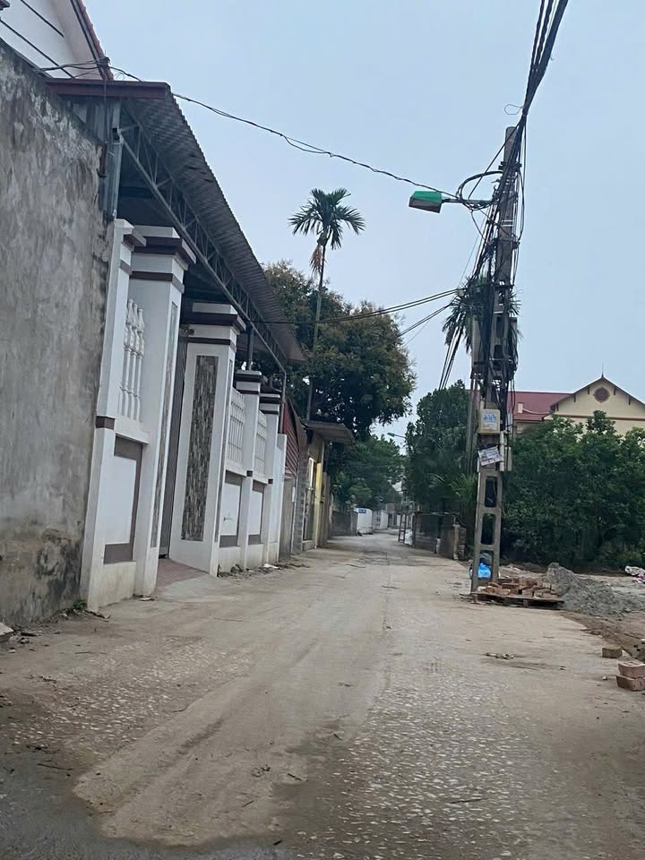 Đất nền Võng Xuyên Phúc Thọ 114m² giá chỉ 2x triệu - Sổ đỏ chính chủ!