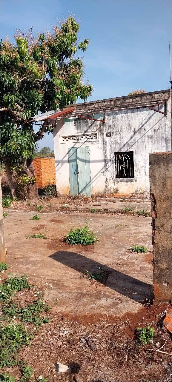 Đất thổ cư 2450m² xã Ea M'nang, Cư M'gar - Giá chỉ 2.1 tỷ, chính chủ!