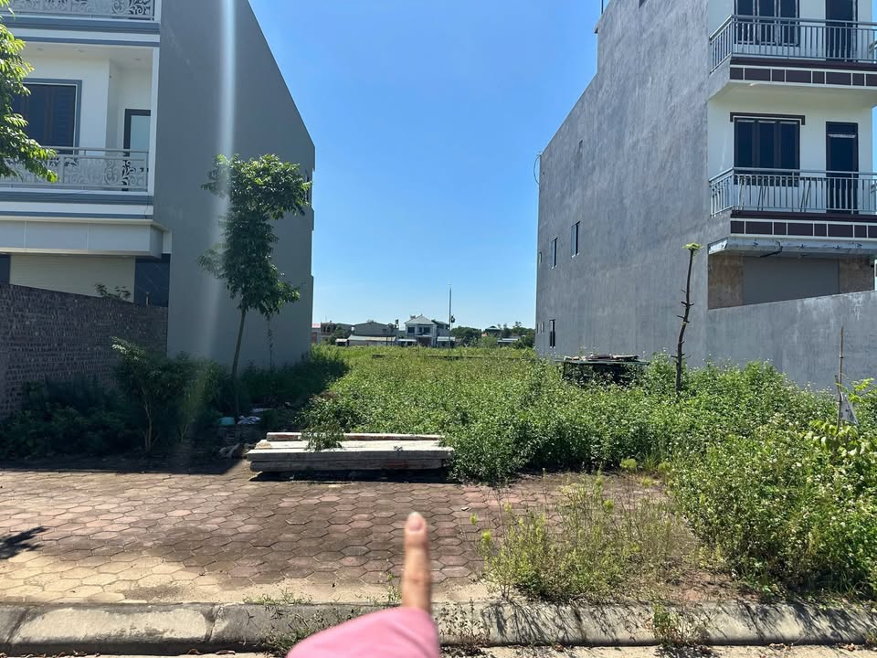 Đất tái định cư Hòa Lạc 240m² giá 3 tỷ - Cơ hội đầu tư hấp dẫn!