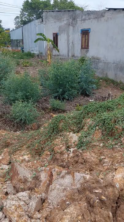 Đất nền mặt tiền ĐT 842, An Phước, 1050m² - Giao dịch trực tiếp với chính chủ!