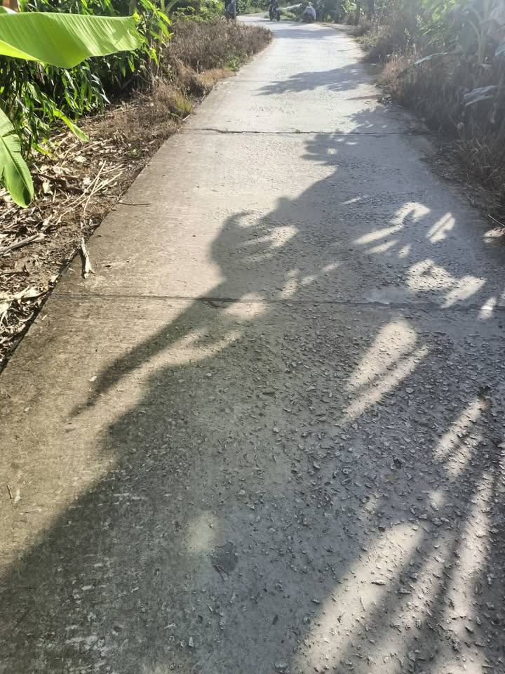 Đất nền mặt tiền đường Dà L 750m² tại Bình Thành, giá 600 triệu - Cơ hội đầu tư sinh lời!