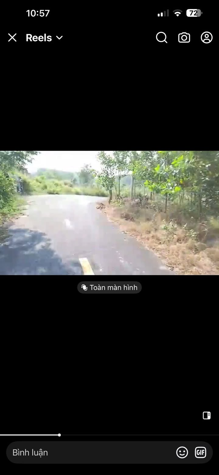 Đất Bình Châu 1 mẫu 16 tỷ - Cách biển chỉ 2,5km, giá tốt thương lượng!