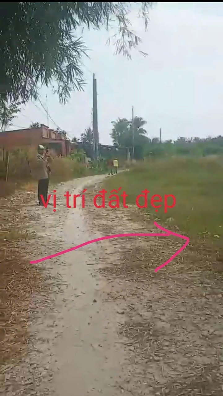 Đất nền chính chủ tại Truông Mít, Tây Ninh 155m² giá chỉ 290 triệu - Đầu tư sinh lời ngay!