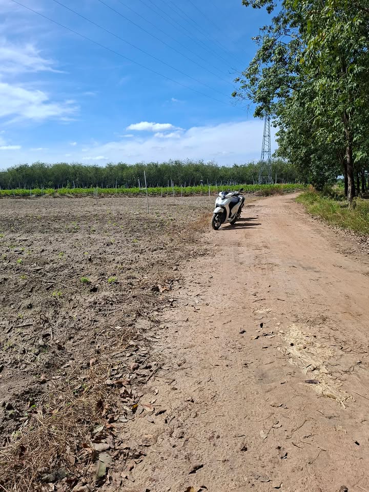 Đất Mẫu Tân Xuân, Xã Tân Phú 12000m² giá 2 tỷ - Cơ hội đầu tư tuyệt vời!