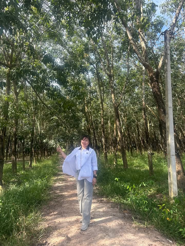 Đất vườn 1000m² giá 320 triệu tại Tiên Thuận, Bến Cầu - Không gian lý tưởng cho trang trại!