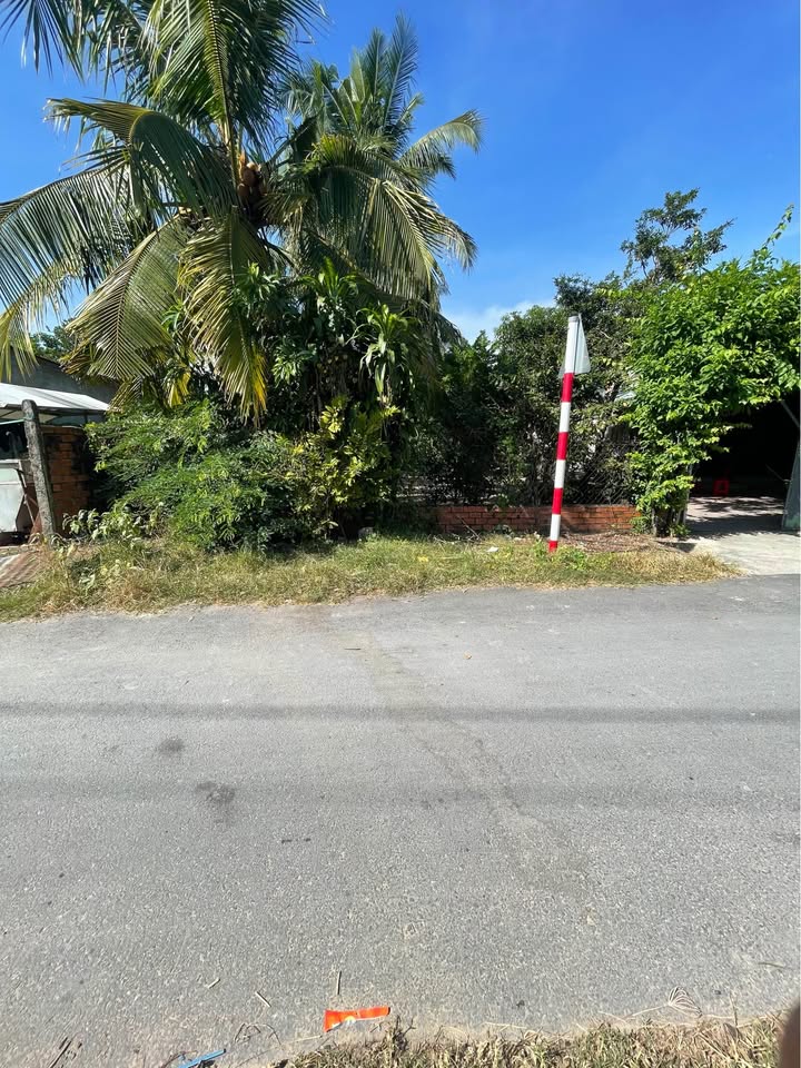 Đất nền Gò Dầu Tây Ninh 302m² giá 830 triệu - Đường nhựa ô tô vào tận nơi!