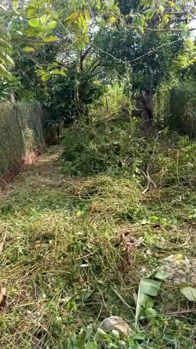 Đất thổ cư Long Hoa 50m² giá 350 triệu - Khu dân cư đông đúc, tiện ích đầy đủ!