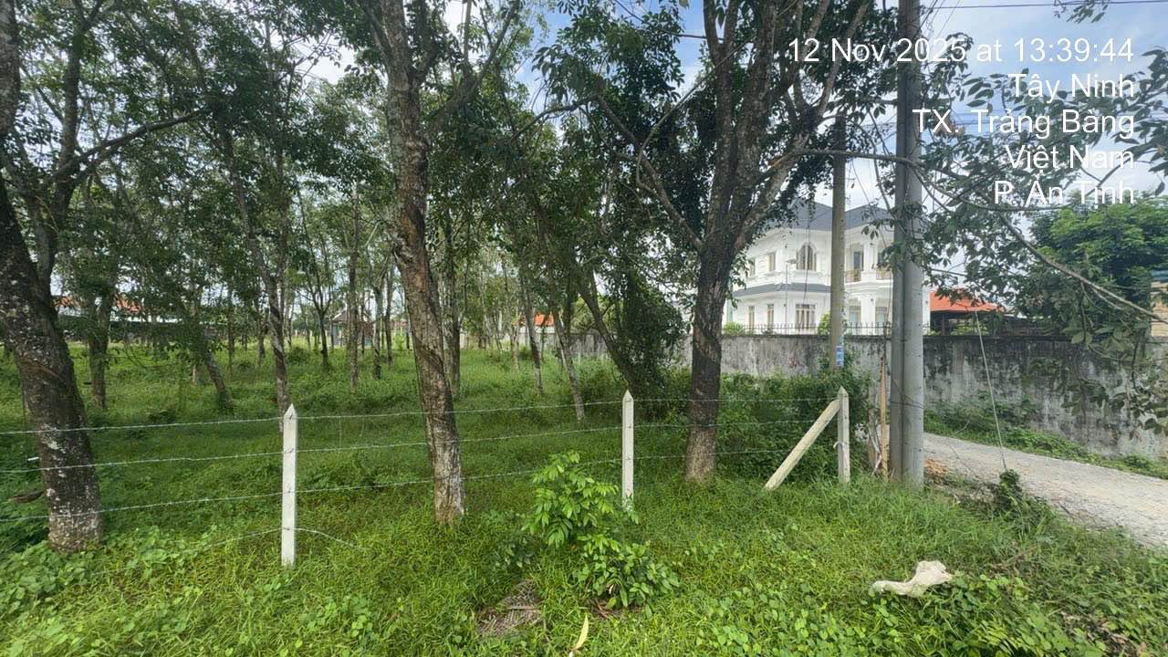 Đất thổ cư 4000m² tại đường Tịnh Phong, Trảng Bàng chỉ 8 tỷ - Đầu tư sinh lời ngay!