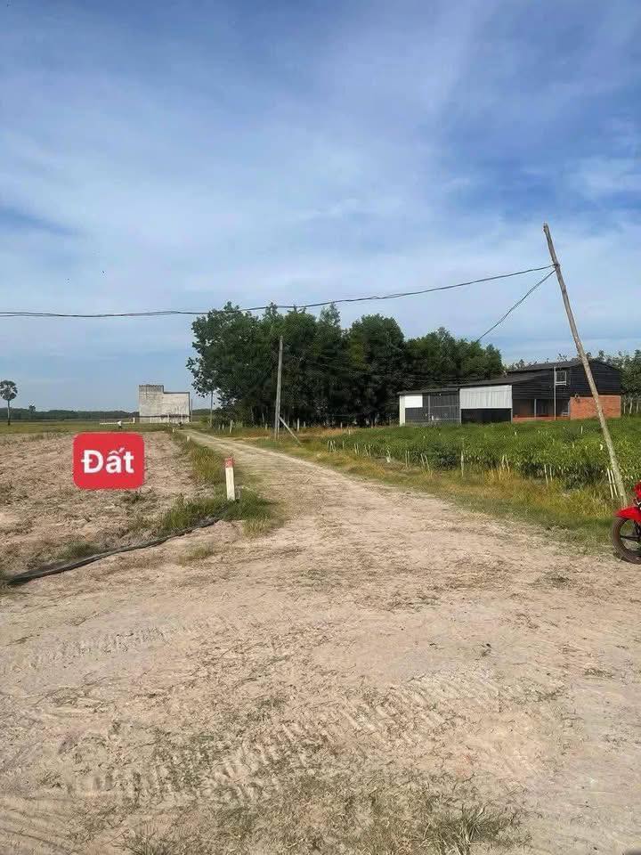 Đất nền 1000m² tại An Cơ, Tây Ninh - Giá 260 triệu, Đầu tư sinh lời ngay!