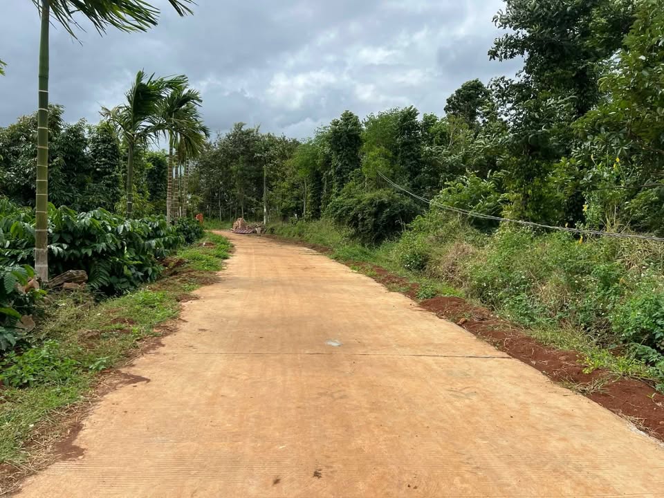 Đất nền Ea Bhốk, Cư Kuin 3593m² giá 1.8 tỷ - Cơ hội đầu tư tuyệt vời!