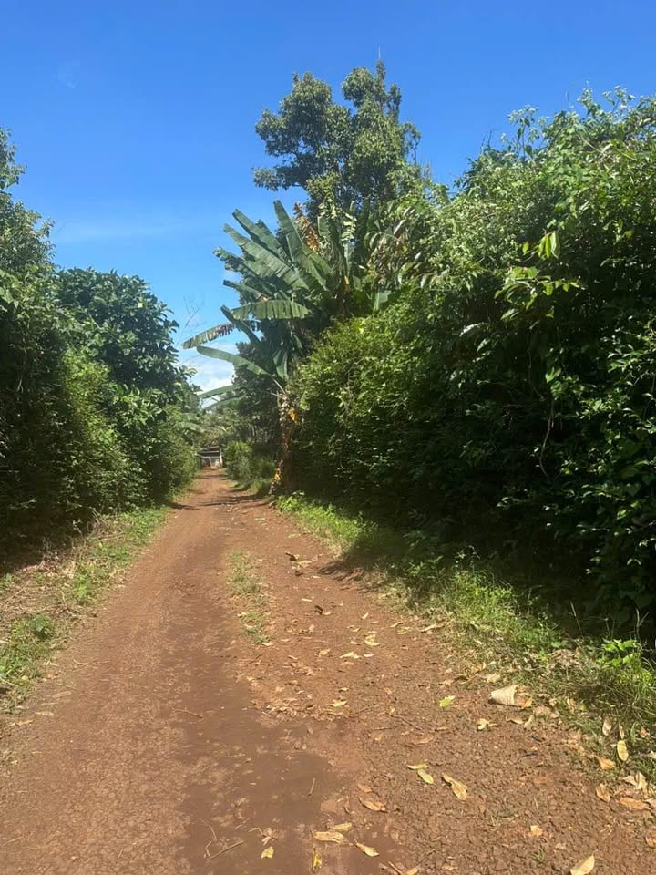 Bán 5 lô đất liền kề đường Võ Nguyên Giáp, Buôn Ma Thuột, 150m² - Cơ hội đầu tư sinh lời cao!