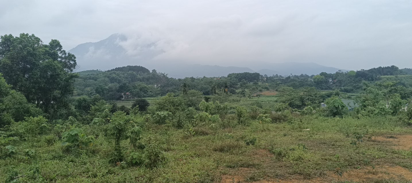 Lô đất Yên Bài, Ba Vì 1522m² giá 9.546 tỷ - Đầu tư sinh lời cao!