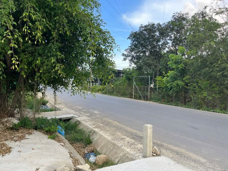 Đất nền mặt tiền Tỉnh Lộ 3, Phước Đồng, Nha Trang 477,2m² - Đầu tư sinh lời ngay!