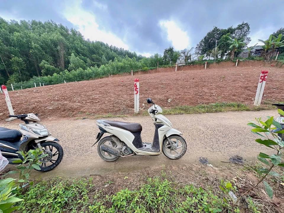 Đất thổ cư Khánh Đông - Khánh Vĩnh 116m² giá chỉ 199 triệu - Đường ô tô thông thoáng!