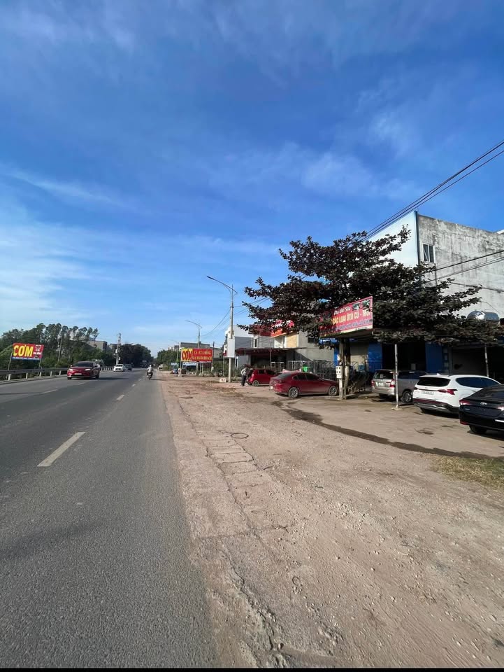 Đất nền QL 31 Già Khê - Lục Nam - 81m² giá 3 tỷ - Vị trí vàng cho đầu tư!