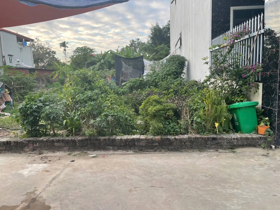 Đất thổ cư Hương Đình, Sóc Sơn 76,5m² - Đường ô tô vào tận đất!