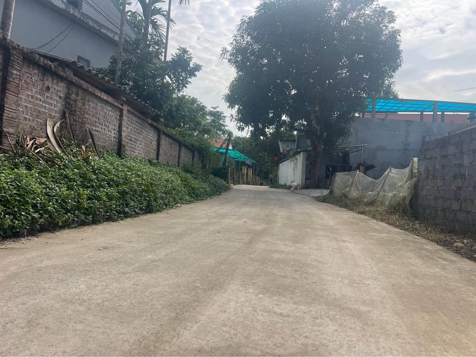 Đất nền Cư Yên - Lương Sơn 230m² giá 1 tỷ - Đầu tư sinh lời hấp dẫn!