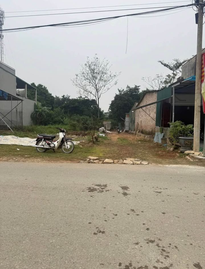 Đất thổ cư 117m² xã Thanh Mỹ - Giá chỉ 3 tỷ, vừa ở vừa kinh doanh!