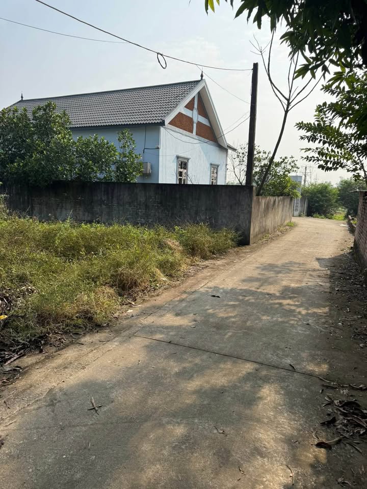 Đất nền Cổ Đông Sơn Tây 100m² giá 2.2 tỷ - Vị trí đắc địa, dễ xây dựng!