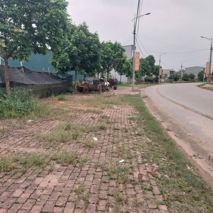 Đất nền Trấn Yên 95m² giá 700 triệu - Cơ hội đầu tư tuyệt vời!