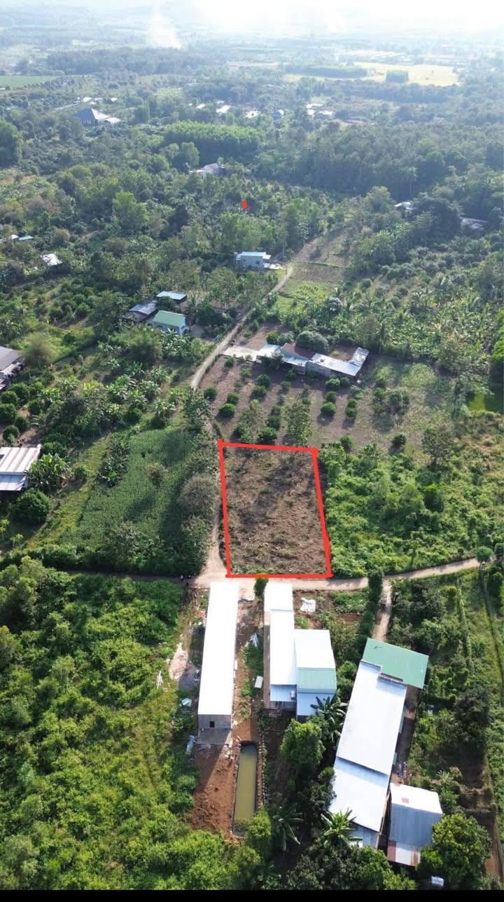 Đất nền 1000m² Định Quán - Giá chỉ 800 triệu, sổ hồng riêng!