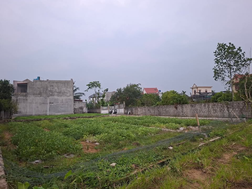 Đất Quang Lộc 320m² giá thỏa thuận - 2 mặt tiền đường rộng 6m!