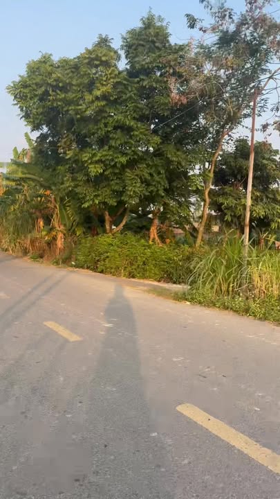 Đất nền Yên Lương 120m² giá thỏa thuận - Đường Phạm Ngọc Thạch, cơ hội đầu tư hấp dẫn!