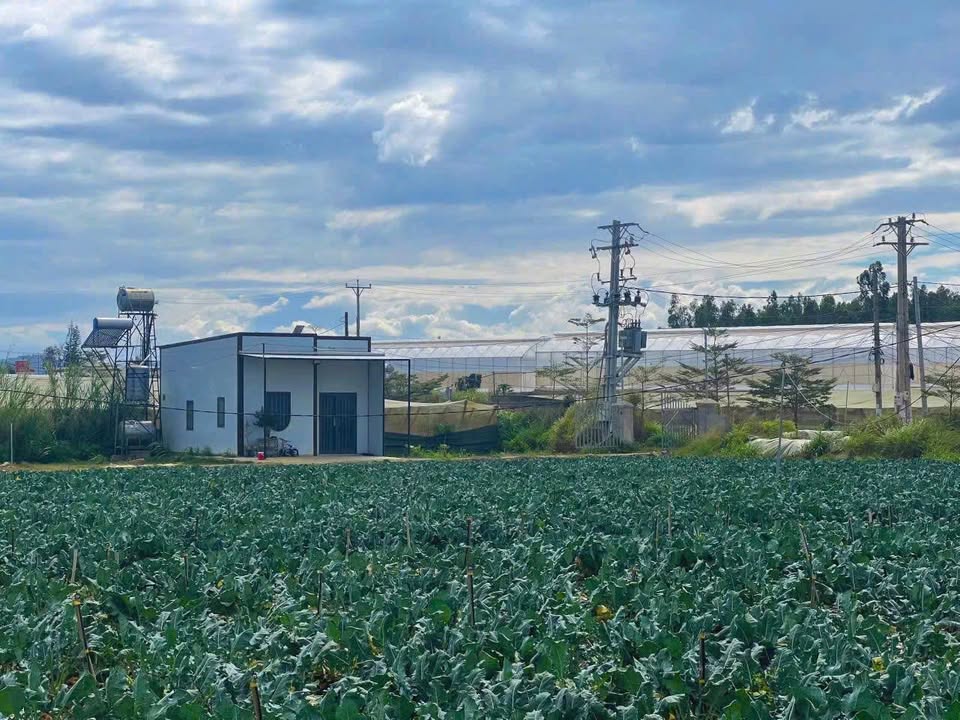 Đất nền Thạnh Mỹ Đơn Dương 72m² giá chỉ 799 triệu - Đầu tư ngay hôm nay!