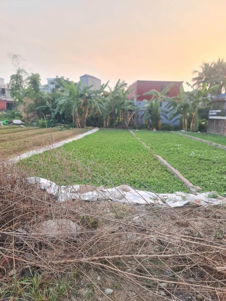 Đất nền Kiến Phong, Đồng Thái, 112m² giá 2.5 tỷ - Cơ hội đầu tư không thể bỏ qua!