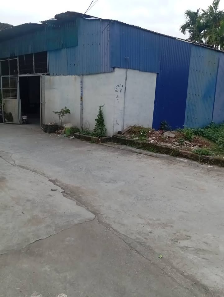 Lô đất Hòa Bình, Thủy Nguyên 60m² giá 1.8 tỷ - Đầu tư sinh lời ngay!