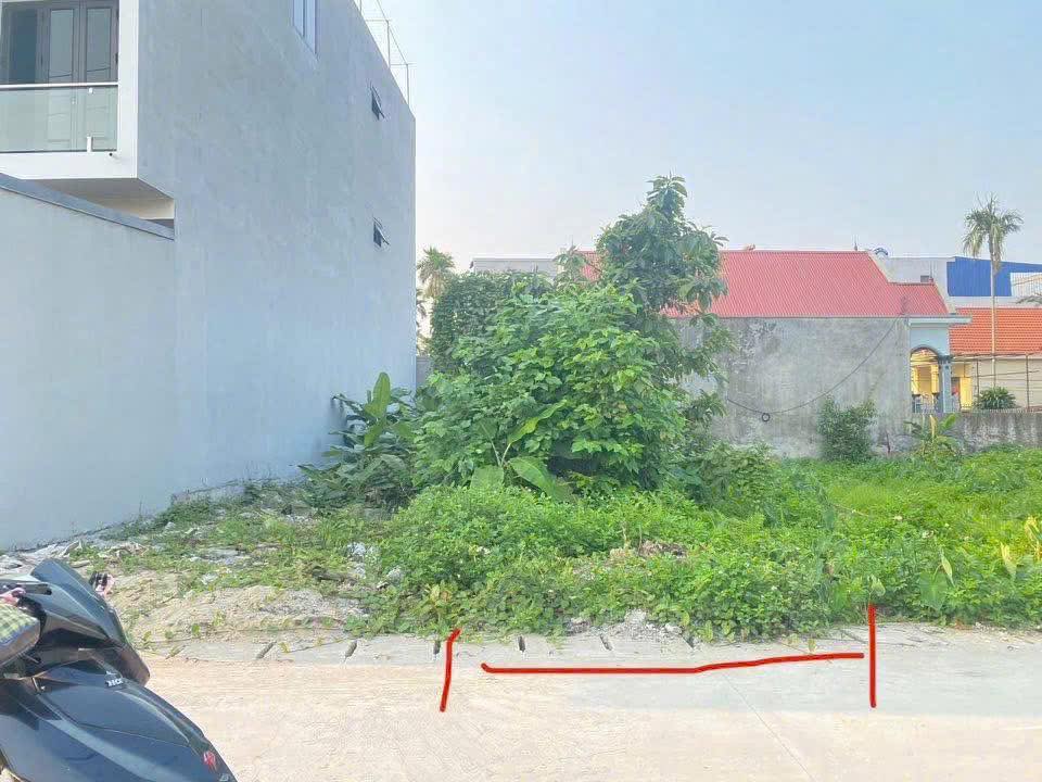 Đất nền Thủy Nguyên Hải Phòng 104m² - Vị trí đắc địa giá đầu tư