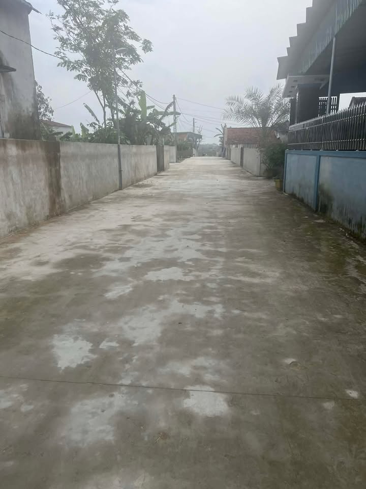 Đất nền xóm 4 Nam Lĩnh, Thanh Chương 133m² giá 1 tỷ - Cơ hội đầu tư hấp dẫn!