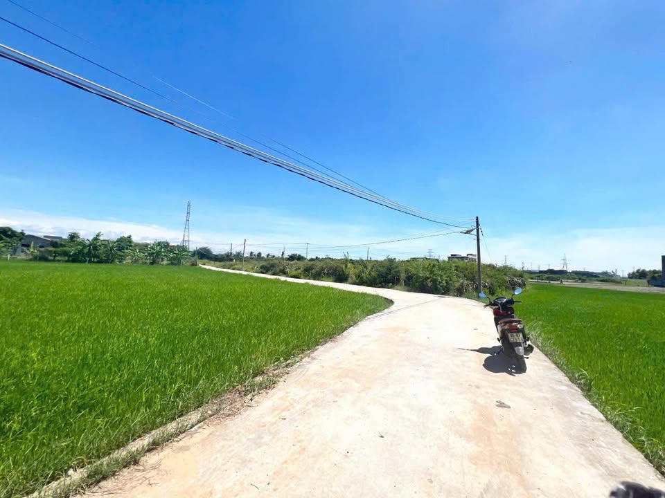 Đất thổ cư Hàm Liêm 100m² giá 600 triệu - Cơ hội đầu tư hấp dẫn!