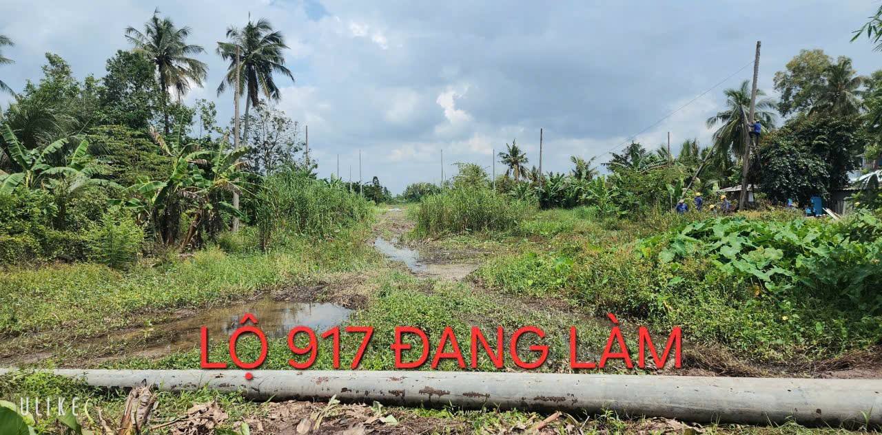 Đất nền thổ cư xã Phong Điền 150m² giá 500 triệu - Đầu tư sinh lời hấp dẫn!