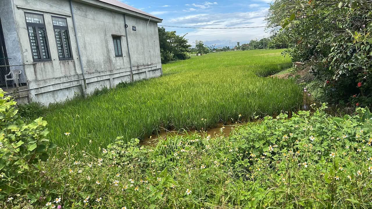 Đất nền Triệu Đại - Triệu Phong 233.31m² giá 9xx triệu - Vị trí đắc địa, giao thông thuận lợi!