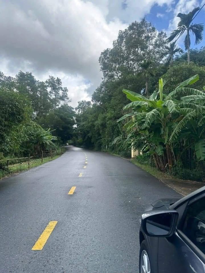 Đất mặt tiền đường Tân Sở, Nam Đông Hà 216m² giá 1 tỷ - Cơ hội đầu tư sinh lời!