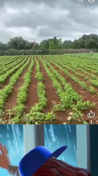 Đất nền Phú Xuân, Krông Năng 700m² giá 840 triệu - Vị trí đắc địa ngay chợ!