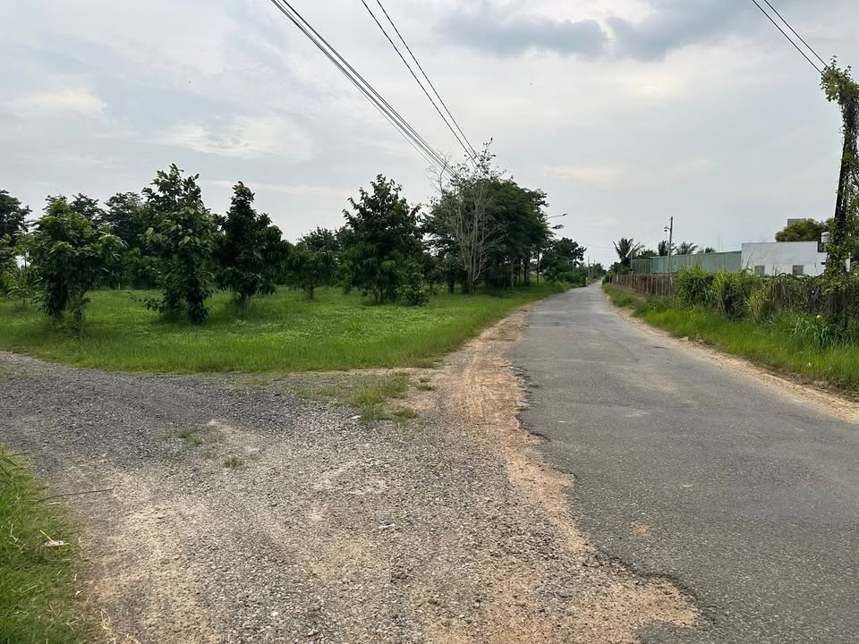 Đất thổ cư 2400m² tại Hàm Liêm, Bình Thuận - Giá chỉ 1,4 tỷ, thương lượng tốt!